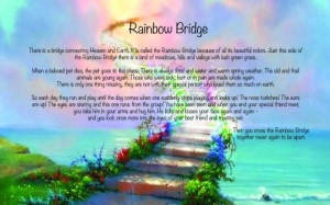 Rainbow bridge poem